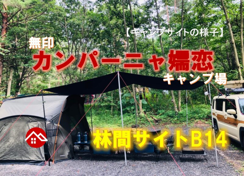 【キャンプサイトの様子】無印良品カンパーニャ嬬恋キャンプ場さんの林間サイトB14